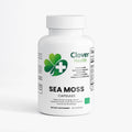 Sea Moss